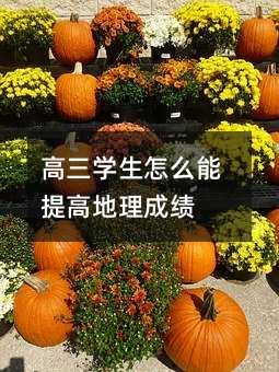 高三学生怎么能提高地理成绩