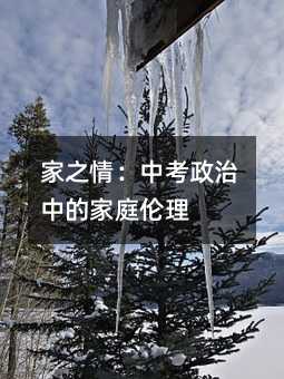 家之情：中考政事中的家庭伦理