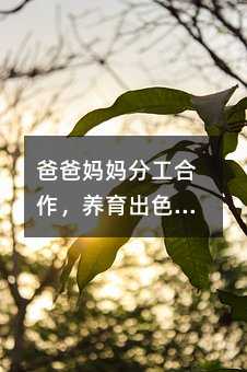 爸爸妈妈分工合作,养育出色的宝宝