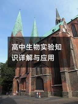 高中生物实验知识详解与应用