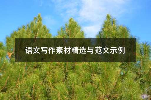 语文写作素材精选与范文示例