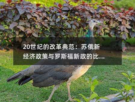 20世纪的改革典范:苏俄新经济政策与罗斯福新政的比较研究