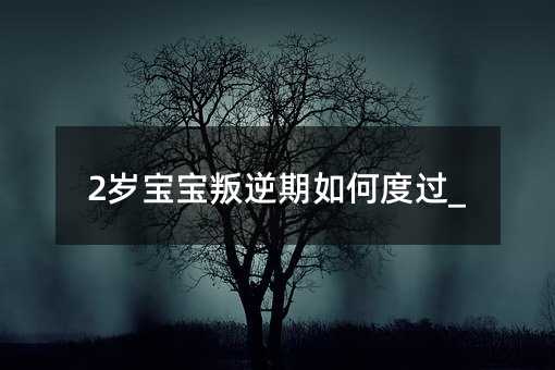 2岁宝宝叛逆期如何度过_
