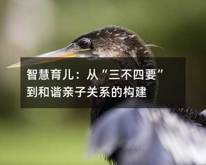 智慧育儿:从“三不四要”到和谐亲子关系的构建