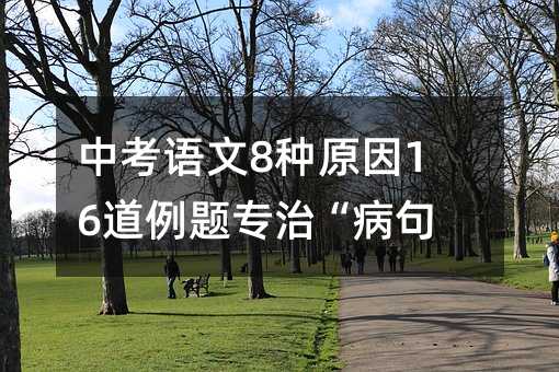 中考语文8种原因16道例题专治“病句”