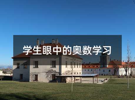 学生眼中的奥数学习