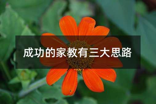 成功的家教有三大思路