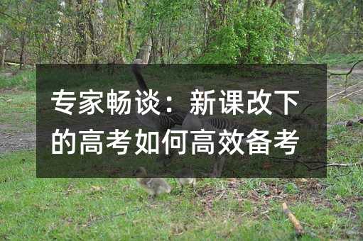 專家暢談:新課改下的高考如何高效備考