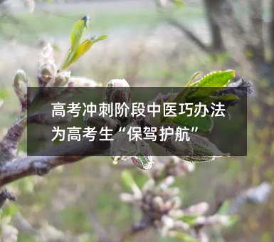 高考沖刺階段中醫巧辦法為高考生“保駕護航”