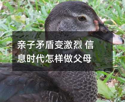 親子矛盾變激烈 信息時代怎樣做父母