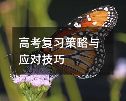߿ϰӦԼ