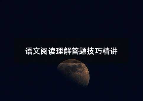 语文阅读理解答题技巧精讲