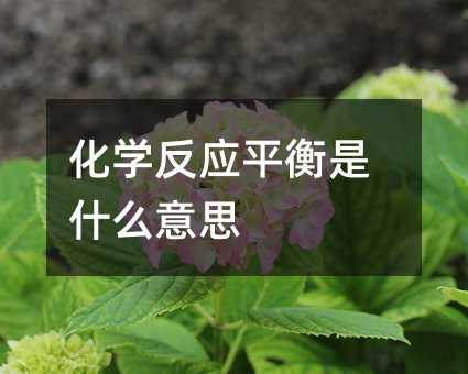 化学反应平衡是什么意思