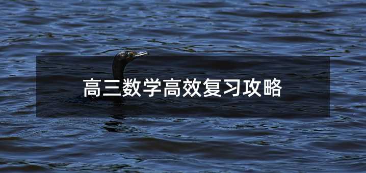 高三数学高效复习攻略