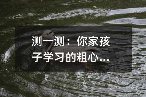 测一测:你家孩子学习的粗心程度