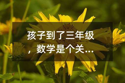 孩子到了三年级,数学是个关键点
