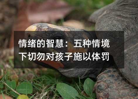 情绪的智慧:五种情境下切勿对孩子施以体罚