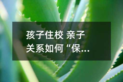 孩子住校 亲子关系如何“保鲜”