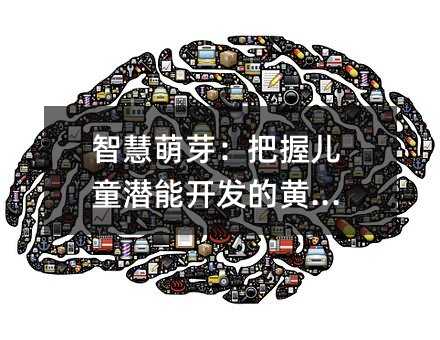 智慧萌芽:把握儿童潜能开发的黄金期
