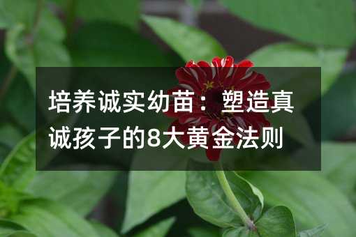 ʵ磺Ϻӵ8ƽ