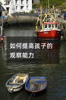 如何提高孩子的观察能力