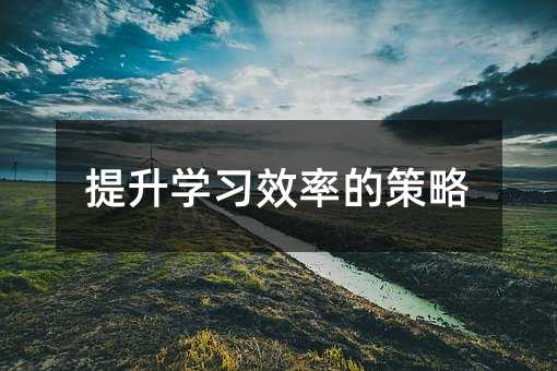 提升学习效率的策略
