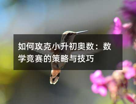 如何攻克小升初奥数:数学竞赛的策略与技巧