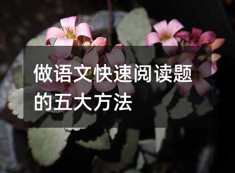 做语文快速阅读题的五大方法