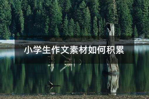 小学生作文素材如何积累