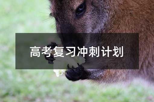 高考复习冲刺计划