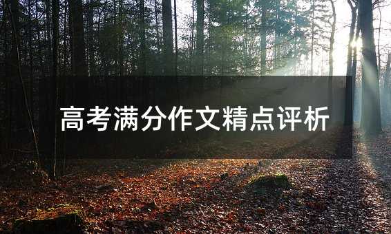 高考满分作文精点评析