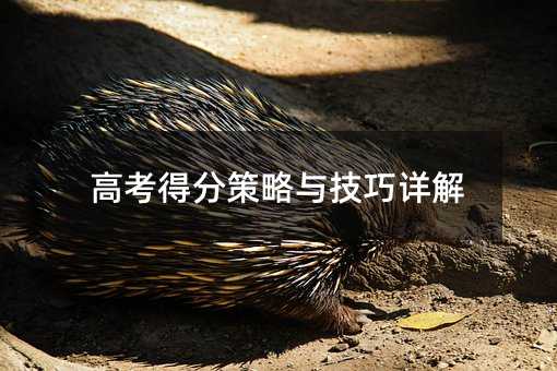 ߿÷ֲ뼼