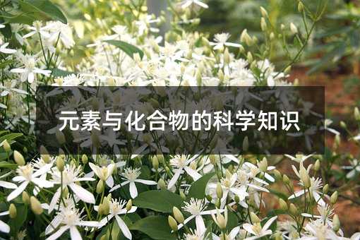 元素与化合物的科学知识