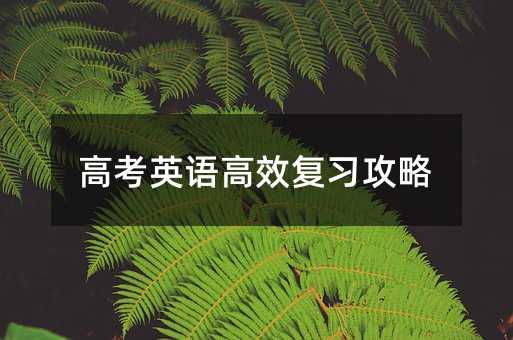 高考英语高效复习攻略