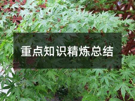 重点知识精炼总结