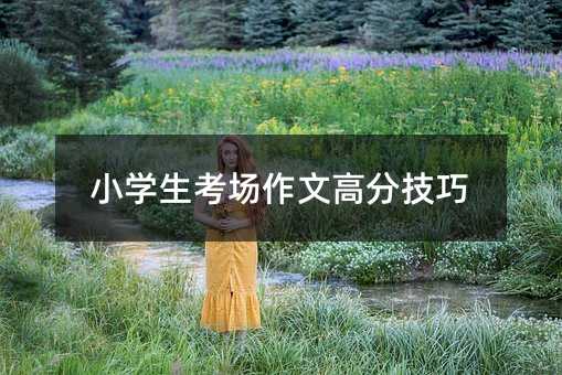 小学生考场作文高分技巧