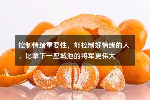 控制情绪重要性,能控制好情绪的人,比拿下一座城池的将军更伟大