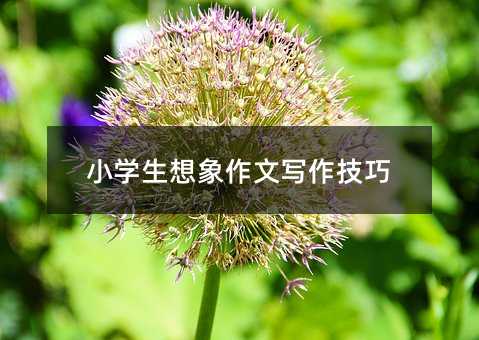 小学生想象作文写作技巧