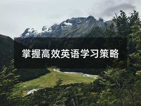 掌握高效英语学习策略