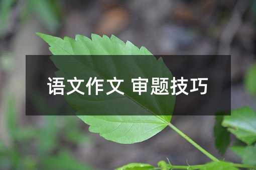 语文作文 审题技巧