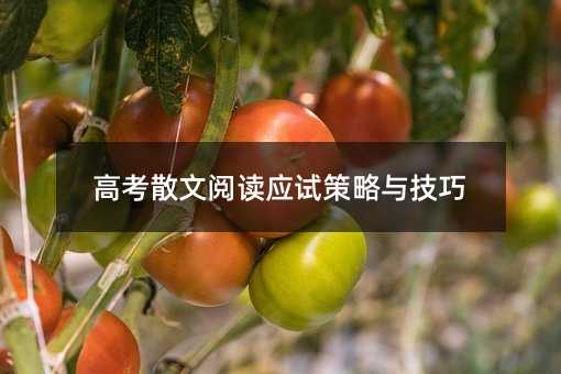 高考散文阅读应试策略与技巧