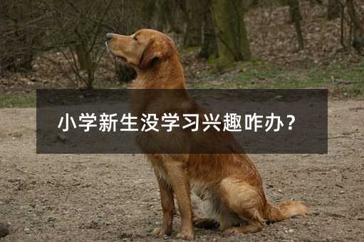 СѧûѧϰȤզ죿