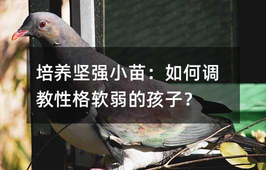 ǿС磺εԸĺӣ
