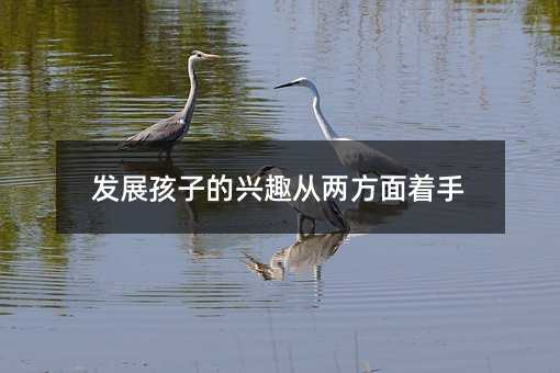 发展孩子的兴趣从两方面着手