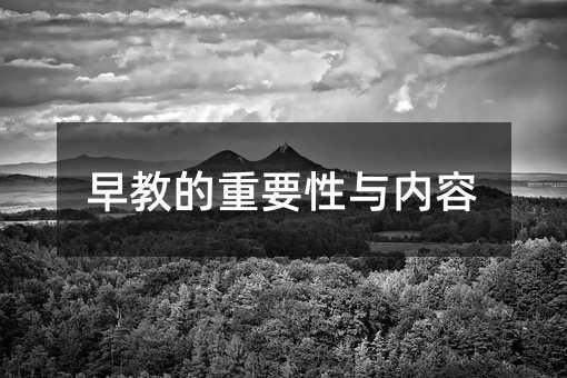 早教的重要性与内容