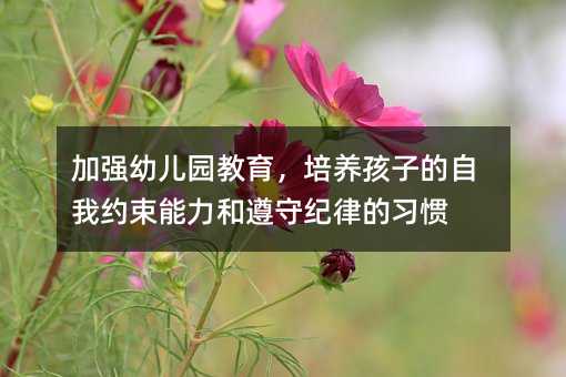 加強幼兒園教育,培養孩子的自我約束能力和遵守紀律的習慣