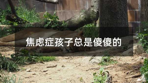 焦慮癥孩子總是傻傻的