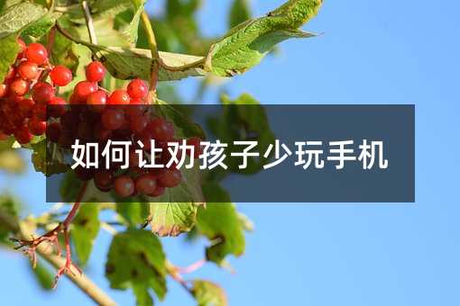 如何让劝孩子少玩手机
