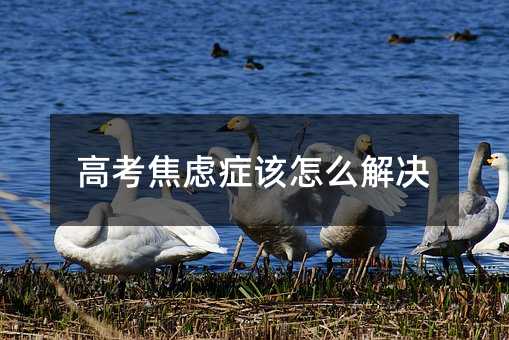 高考焦慮癥該怎么解決