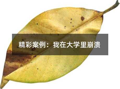 精彩案例:我在大學里崩潰